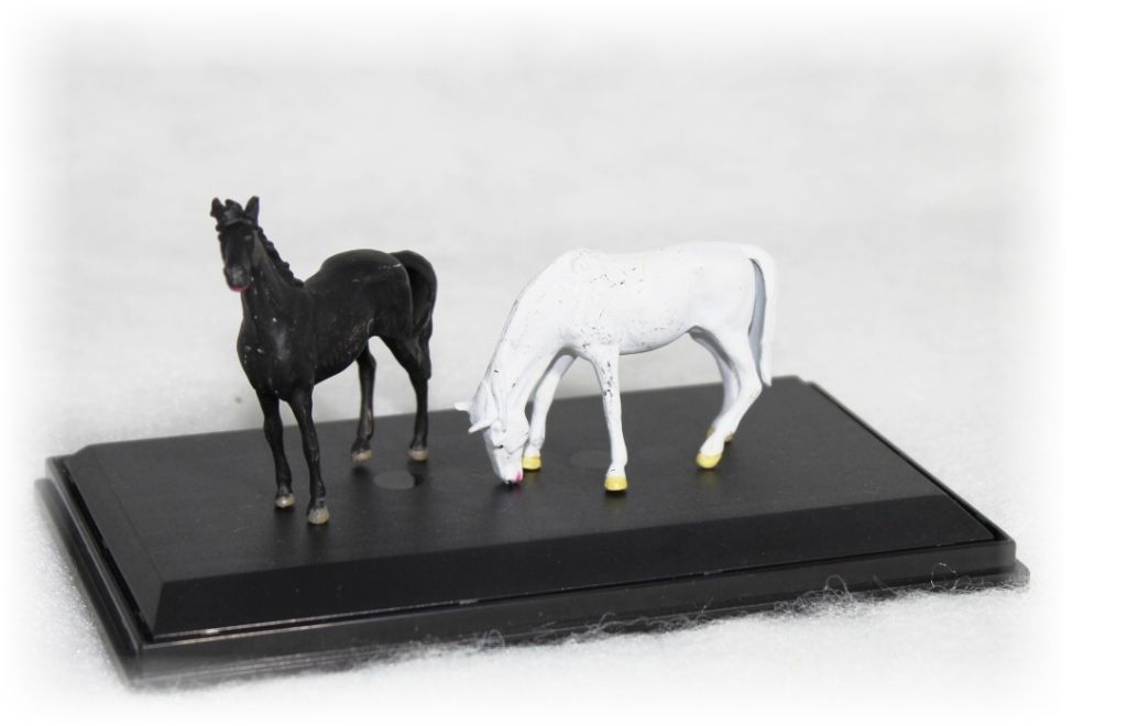 Koně „E” Modely od Patrona