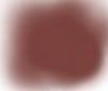 Patinovací pigment - Rez PP03 Agama