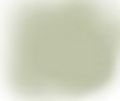 Patinovací pigment - Šedá popelavá PA05 Agama