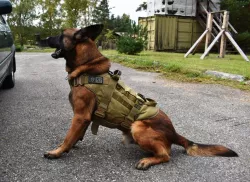 Pes - Policejní Modely od Patrona